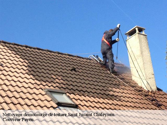 Nettoyage demoussage de toiture  saint-jusaint-chaleyssin-38540 Couvreur Payen