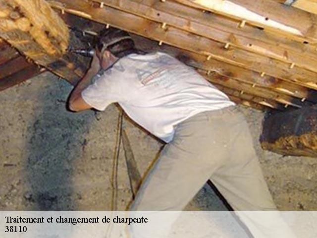 Traitement et changement de charpente  38110