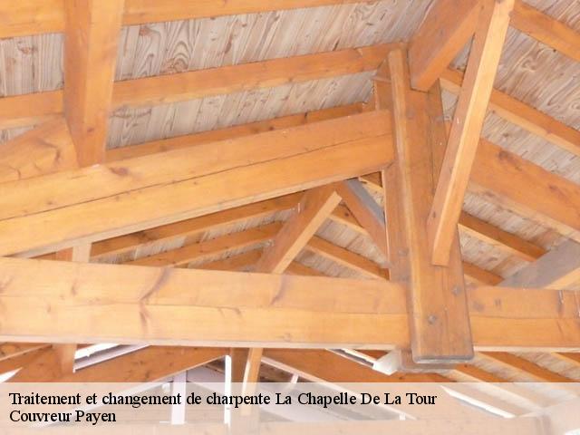 Traitement et changement de charpente  38110