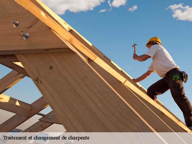 Traitement et changement de charpente